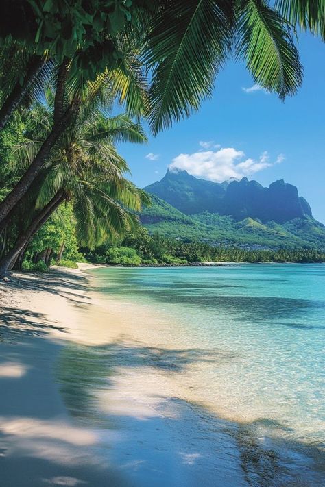 Escape to the exotic beauty of the Indian Ocean's islands. 🌍✨ From the serene beaches of Mauritius to the luxurious resorts of the Seychelles and the vibrant reefs of the Maldives, find your perfect paradise. 🏝️💙 #IndianOceanIslands #TropicalEscape #IslandParadise #BeachGetaway🏝️🌍✨ #IndianOceanIslands #BeachGetaway #IslandEscape Mauritius Beach, Beautiful Beaches Paradise, Summer Beach Pictures, Maldives Beach, Mauritius Island, Beautiful Scenery Pictures, Exotic Beaches, Ocean Pictures, Ocean Landscape