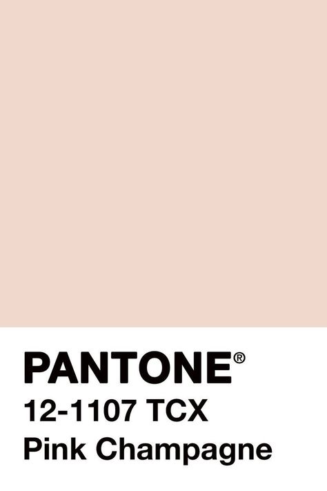 Pink champagne Pantone Palette, Pantone Colour Palettes, 패턴 배경화면, Color Inspo, Colour Board, Iphone App, Pink Champagne, Champagne Color, Color Stories