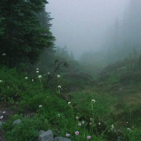 Wet Forest Aesthetic, Esther Core Aesthetic, Alyssacore Aesthetic, Esther Core, Alyssa Core, Name Core, Dark Forest Aesthetic, Dark Fairycore, Foggy Forest