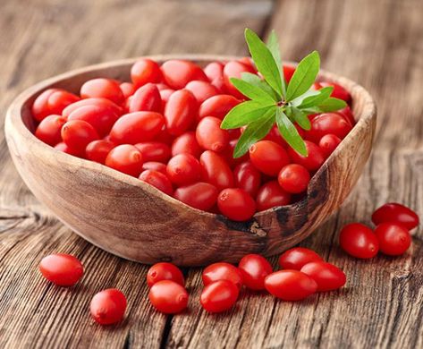 Goji Berry, 'Dynamite' - DeGroot Growing Goji Berries, Goji Berries Benefits, Fruit Du Dragon, Avocado Brownies, Berry Plants, Berry Bushes, Anti Aging Supplements, Goji Berry, Growing Seeds