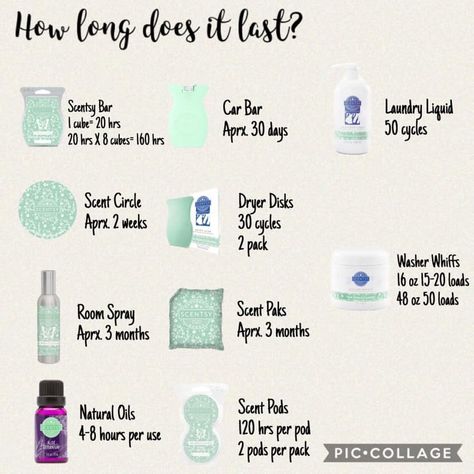 How Long Do Scentsy Products Last, Scentsy How Long Does It Last, Scentsy Cleaning Products, Last Note, Car Bar, Scentsy Products, Scented Wax Warmer, Scentsy Business, Laundry Liquid