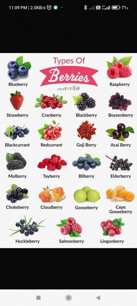 Types Of Berries Fruit, Berry Names, Witch Recipes, Mulberry Fruit, Modern Farming, Kitchen Witch Recipes, Types Of Berries, Cape Gooseberry, Luke 17