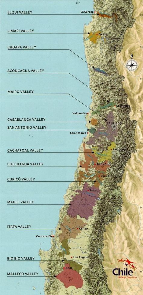 Wine Infographic, Wine Region Map, Wine Paring, Chile Wine, Chilean Wine, Wine Company, Wine Map, Wine Education, Wine Guide