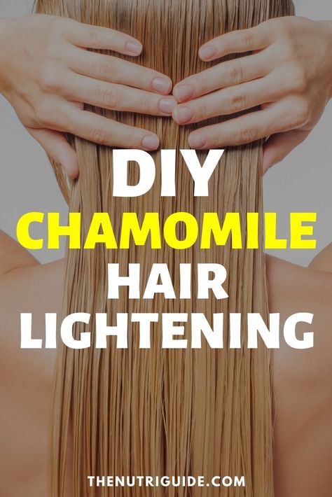 Chamomile for Hair Lightening (and Hair Benefits)- DIY Tea Hair Recipes Chamomile Tea Benefits Hair, Natural Hair Lightener Blonde, Diy Hair Lightener Brunettes, Chamomile Tea Hair Lightener, Naturally Lighten Blonde Hair, Natural Hair Lightener For Brunettes, Hair Lightening Mask, Chamomile For Hair, How To Lighten Hair Naturally