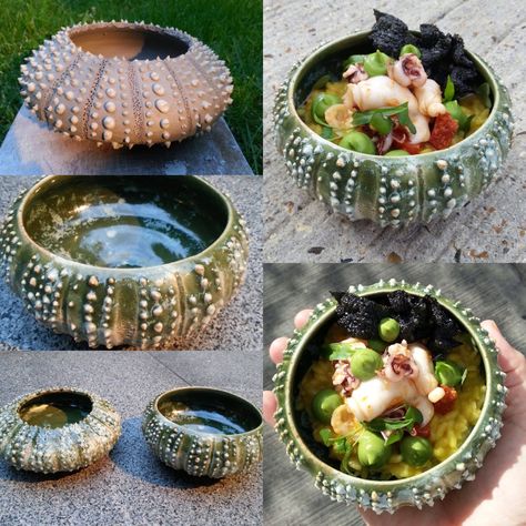 Pottery With Shells, Sea Urchin Pottery, Sea Urchin Ceramic, Pottery Sea Creatures, Ceramic Sea Urchin, Handmade Garden Art, Diy Artwork, Ceramic Techniques, Ceramics Pottery Art