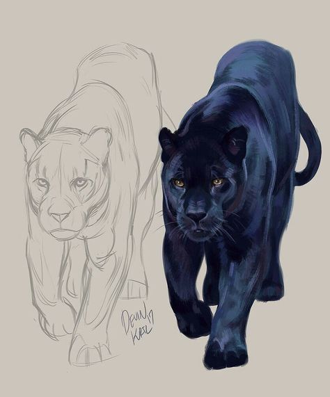 How To Draw A Panther, Panther Tattoo Realistic, Animal Drawing Ideas, Devin Elle Kurtz, Black Panther Drawing, رسم كاريكاتير, Panther Tattoo, Panther Art, Animal Drawings Sketches