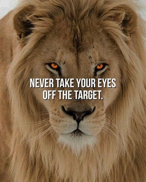 Lion Attitude, Quotes Attitude, Inspirational Rocks, Inspirational Life Lessons, Inspirational Quotes Background, Lion Quotes, Mindset Inspiration, Lion Love, Strong Mind Quotes