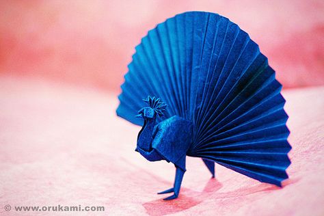 Akira Yoshizawa Origami Peacock by Himanshu (Mumbai, India), via Flickr Origami Peacock, Dollar Origami, Origami Ball, Dollar Bill Origami, Origami Bookmark, Origami Videos, Japanese Origami, Instruções Origami, Origami Bird