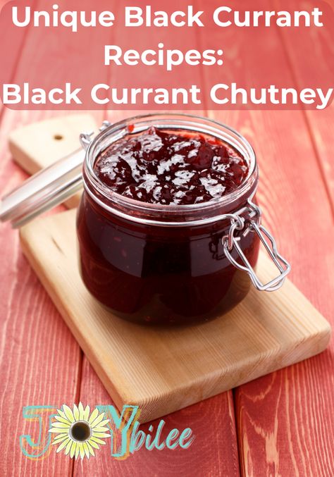 There are many delicious black currant recipes available, mostly jams, jellies, and some teas. However, this black currant chutney recipe is a unique, slightly spicy, and absolutely delicious take on this tart and tangy fruit. Currant Berries, Blackcurrant Recipes, Black Currant, Blackcurrant Cheesecake, Black Currant Recipes, Black Currant Juice, Red Currant Jam, Currant Recipes, Mead Recipe