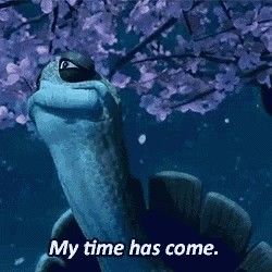 Master Oogway, Fish Pet, Memes, Funny, Animals