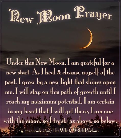 New Moon Prayer New Moon Prayer, Moon Prayer, Moon Spells, New Moon Rituals, Sup Yoga, Moon Moon, Moon Cycles, Practical Magic, Moon Magic