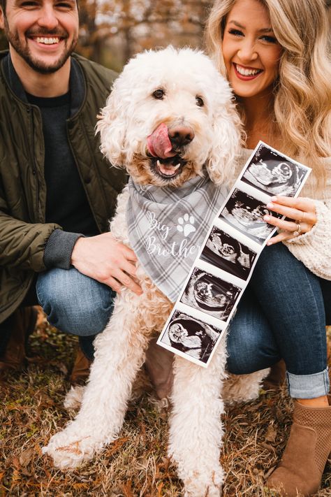 Pregnancy Announcement Picture Ideas, Pregnancy Announcement To Husband First, Pregnancy Announcement With Dog, Parents Pregnancy Announcement, Pregnancy Announcement To Family, Husband Pregnancy Announcement, Pet Pregnancy Announcement, Family Pregnancy Announcement, Pregnancy Announcement Dog