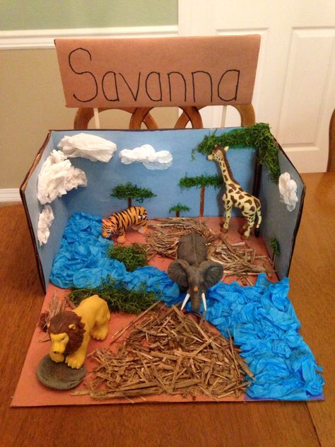 Savanna Biome Project Wolf Habitat, Ecosystems Diorama, Giraffe Habitat, Biomes Project, Diorama Kids, Diarama Ideas, Ecosystems Projects, Habitats Projects, Zoo Project