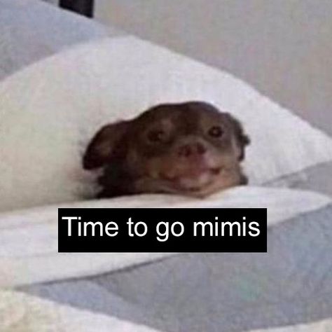 Go To Bed Memes Humor, Waking Up Memes Funny, Going To Sleep Meme Funny, Sleeping Memes Humor, Get Some Sleep Quotes, Are You Sleeping, Wake Up Meme Funny, Good Night Meme Cute, Goodnight Funny Pictures