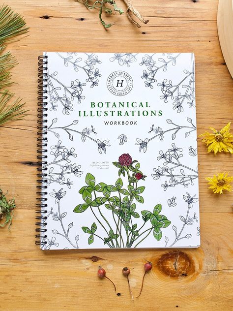 Herbal Academy, Herbal Education, Herbal Apothecary, Illustration Botanique, Natural Parenting, Plant Identification, Botanical Illustrations, Nature Study, Plant Illustration