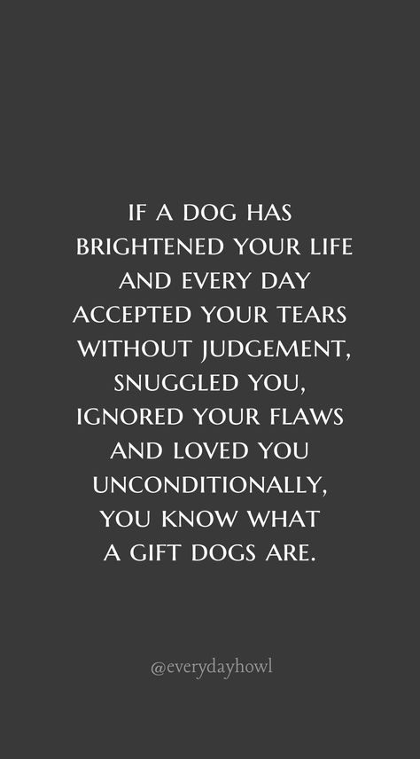 If a dog has brightened your life and every day accepted your tears without judgement, snuggled you, ignored your flaws and loved you unconditionally, you know what a gift dogs are. Love Of Dogs Quotes, Man And His Dog Quotes, Pets Are Family Quotes, Dogs Unconditional Love Quotes, My Dogs Are My Life Quotes, Loving A Dog Quotes, Quotes Dogs Love, Dog Thoughts Quotes, A Dogs Love Quote