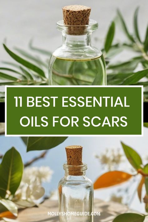 Discover the power of essential oils for scars in this DIY scar serum recipe. Using Frankincense oil, Helichrysum, Lavender, and more, create a healing roller bottle blend to reduce the appearance of scars. Incorporate Carrot seed oil, Tea tree, Myrrh, Chamomile, Patchouli or Sandalwood for effective scar fading results. Scar Healing Essential Oils, Scar Serum, Serum Recipe, Castrol Oil, Scar Remedies, Carrot Seed Essential Oil, Oils For Scars, Helichrysum Essential Oil, Roller Bottle Blends