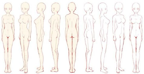 Body 360 Reference, Art Body Reference, Girl Anatomy, Drawing Anime Bodies, Female Anatomy Reference, Character Reference Sheet, Character Model Sheet, Anatomy Sketches, Body Reference Drawing