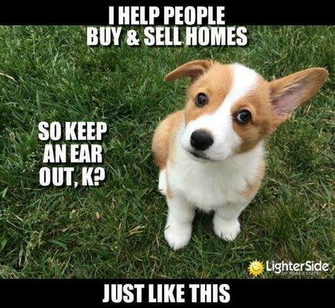 Just remember, a referral is ALWAYS appreciated! 😉  #listingagent #buyersagent #pnwhomes #realestateagent #realtor Realtor Memes, Real Estate Fun, Real Estate Memes, Real Estate Agent Marketing, Real Estate Humor, Sell Your House Fast, Real Estate Quotes, Real Estate Tips, Real Estate Business