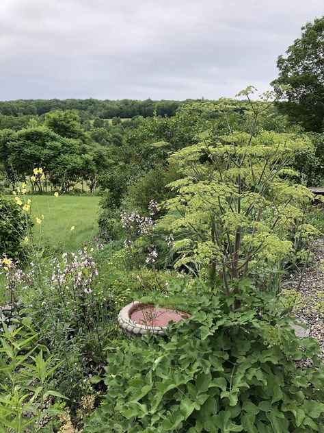 Garden Visit: Helen O'Donnell's Laissez-Faire Garden in Vermont Planting Seeds, Laissez Faire, The Bunker, Apartment Garden, O Donnell, Mulch, Plan Your Trip, Garden Beds, Vermont