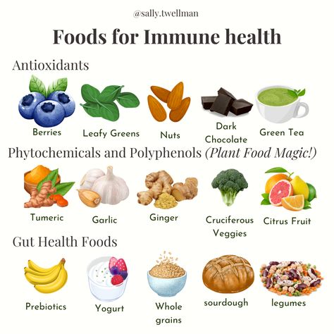 Discover immune-boosting recipes to fuel your health journey! Explore nourishing foods packed with vitamins and antioxidants. Elevate your immune system naturally with our delicious and nutritious dishes. Healthy Recipes Gut Health, Immunity Building Foods, Best Immune Boosting Supplements, Healing Foods Immune System, Best Antioxidant Foods, Holistic Health Tips, How To Boost Immune System, Foods For Colds, Immune Boosting Meals