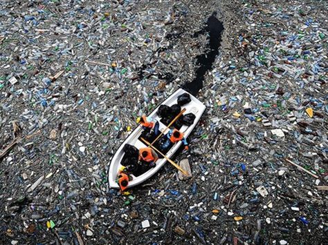 A Documentary About Plastic Pollution in the Atlantic Ocean by Justin Lewis and Michelle Stauffer — Kickstarter Great Pacific Garbage Patch, Chris Jordan, Haunting Photos, Earth Images, Ocean Pollution, La Pollution, Environmental Pollution, Water Pollution, Plastic Pollution