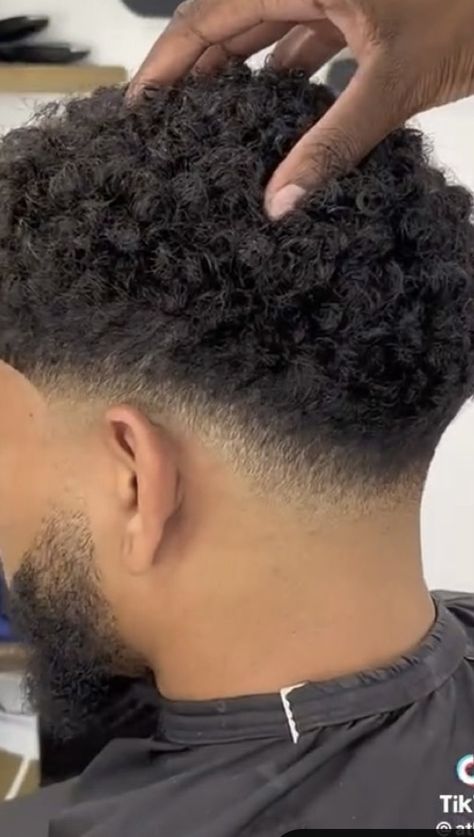 Curls Hairstyles Men Black, Different Taper Haircuts, 0.5 Fade Haircut Men, Taper Fade Styles, Curly Fades For Men, Drop Fade Haircut Curly Hair, Mixed Race Hairstyles Men, Freeform Hair Men, Black Men’s Fade Haircut