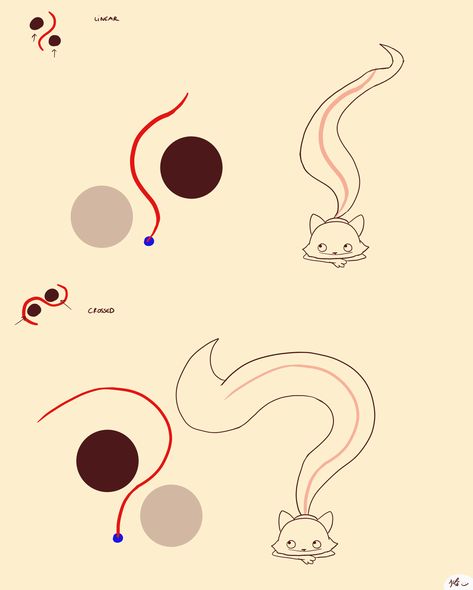 Ondulations, tails (and other objects) waves. | Kéké on Patreon Tail Animation, Hair Animation, Gif Banners, Animation Drawing Sketches, Danger Noodles, Animation Tips, Animation Process, Learn Animation, Animation Storyboard