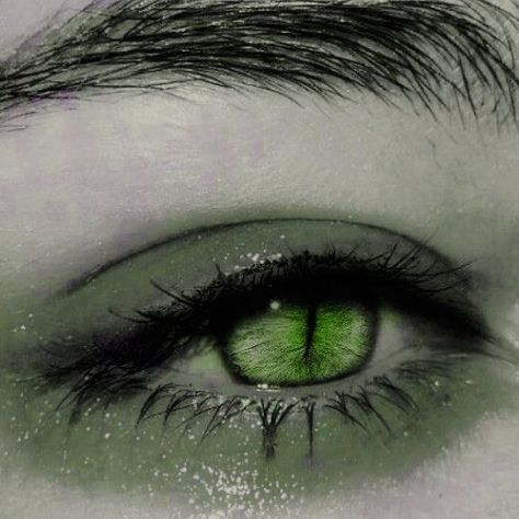 Morgie Le Fay Aesthetic, Green Vampire Aesthetic, Mal Bertha, Fire Magic, Demon Eyes, Eyes Artwork, Green Magic, Emerald Eyes, Green Eye