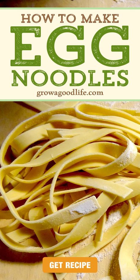 Noodle Dough Recipe, Easy Homemade Noodles, Noodles From Scratch, Noodle Recipes Homemade, Fresh Egg Noodles, Egg Noodle Recipes, Kitchen Aid Recipes, Homemade Egg Noodles, Homemade Pasta Recipe