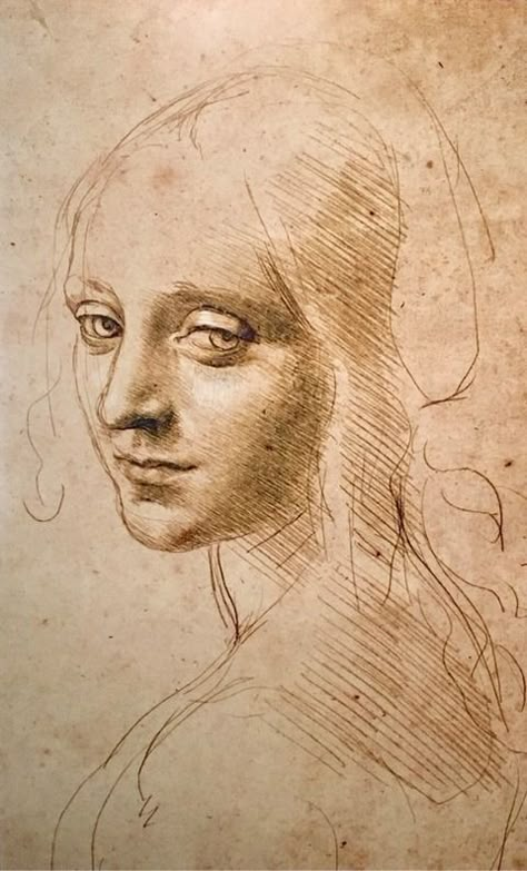 Sketches Nature, Masters Drawings, Old Master Drawings, Master Drawings, Academic Drawing, Rennaissance Art, Master Drawing, Academic Art, Art Ancien