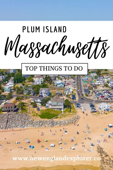 A photo of Plum Island MA with the title Plum Island Massachusetts Top Things to Do Plum Island Massachusetts, Beach Plum, Plum Island, In The Summertime, Sandy Beaches, Vacation Ideas, Tourist Destinations, New Hampshire, Hampshire