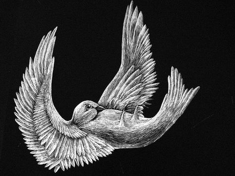 "We Was All of Us Just Tumbling Birds Hanging in the Sky" -A Silver Mt. Zion by StarsNoStars32, via Flickr Bird Falling, Pigeon Books, Mount Zion, Falling Skies, Bird Sketch, Cloud Tattoo, Bird Wings, Baby Tattoos, Birds Tattoo