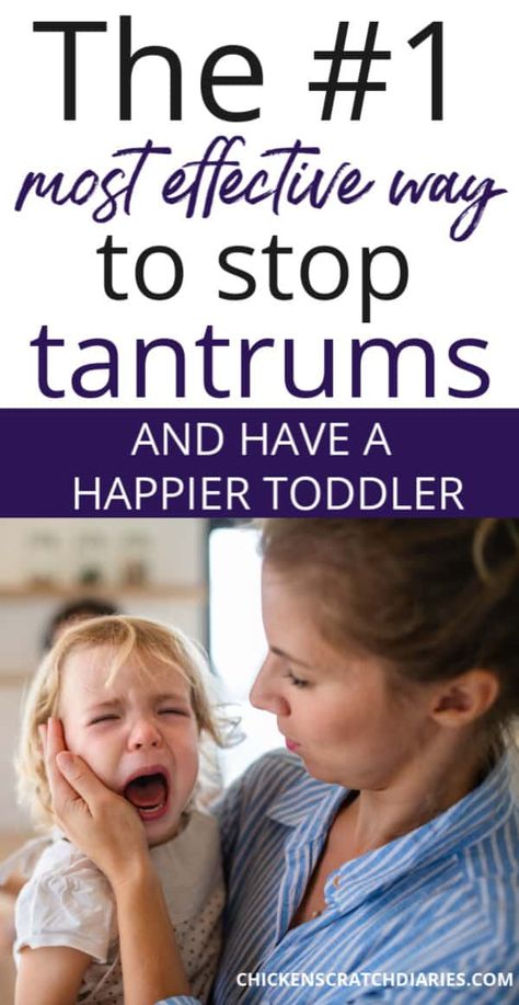 How to Use Humor to Diffuse a Toddler Temper Tantrum » Chicken Scratch Diaries Toddler Tantrums Handling, Routine For Toddlers, Temper Tantrums Toddler, Toddler Fits, Tantrum Kids, Toddler Tantrums, Temper Tantrum, Toddler Behavior, Tantrums Toddler