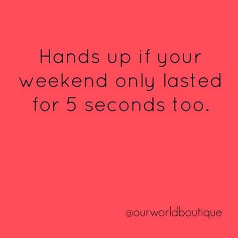 It's already Sunday night ...the weekend always goes by so fast! Don't blink or you've probably missed it Sunday Meme Funny Hilarious, Sunday Memes Hilarious Humor, Final Week Meme, Weekend Meme, Sunday Night Meme, Weekend Inspiration, Monday Monday, Monday Humor, Weekend Quotes