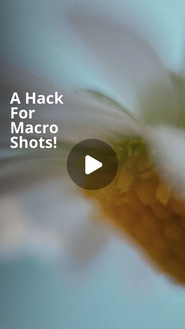 iPhone Photography School on Instagram: "💥 No one knows about this crazy iPhone hack for macro shots! 💥 Keep watching and learn how to take stunning photos like these!   Tap the link in BIO for more iPhone camera tips, tricks and hacks! 📲  #macrophotography #iphonecamerahacks #iphonehacks #iphonephotos #iphonecamera" Iphone Macro Photography, Iphone Camera Tricks, Macro Photography Tips, Shots Ideas, Iphone Life Hacks, Kodak Moment, Macro Shots, Iphone Camera, Everyday Art