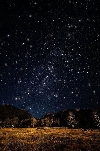 This sky plus a glass of fine wine and a cute little thing next to me :) Mountains And Trees, Moonlight Photography, Western Party, Sky Full Of Stars, Sky Full, Captain Jack, Rocky Mountain National, To Infinity And Beyond, Rocky Mountain National Park