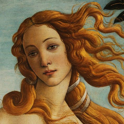 Botticelli Paintings, Sandro Botticelli, European Art, Funny Pics, Art Reproductions, Canvas Print Wall, High Quality Art Prints, Art History, Art Museum