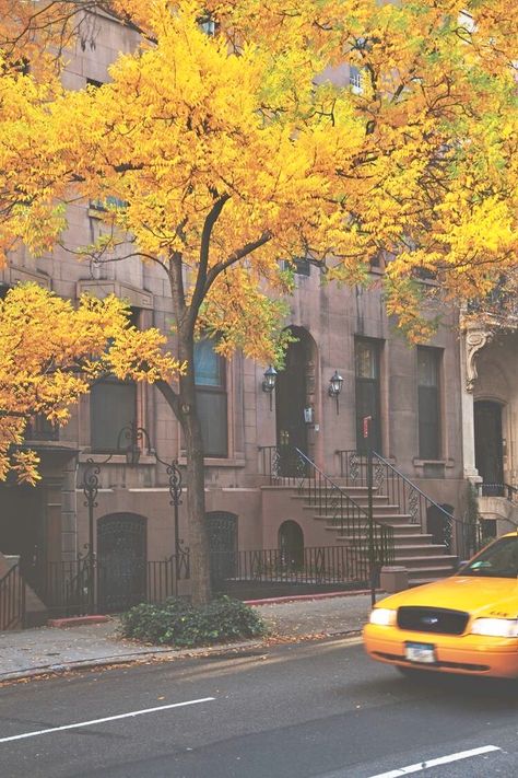 New York taxi in the fall Nature, Yellow Taxi, Tall Buildings, Taxi Cab, In The Fall, City Life, The Fall, Autumn Leaves, In The Heights