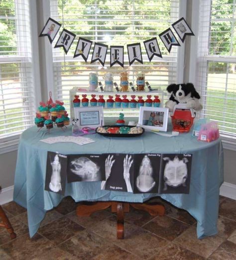 Animal Themed Graduation Party, Vet Tech Themed Graduation Party, Vet Tech Grad Party Ideas, Vet Tech Party Ideas, Vet Clinic Birthday Party, Vet Decoration Ideas, Veterinary Themed Party, Veterinary Birthday Party, Nursing Home Birthday Party Ideas