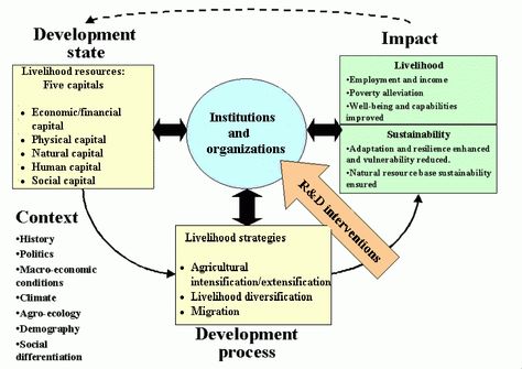 Analytical framework for integrated natural resource management impact assessment on sustainable rural livelihoods (adapted from Scoones 1998). Nature, Assessment, Ecology, Study Diagrams, Natural Resource Management, Sustainable Management, Environmental Engineering, Natural Resource, Resource Management