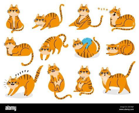 Cats Emotions, Cat Body Language, Striped Cats, Cat Poses, Cat Body, Scared Cat, Picture Books Illustration, Cat Vector, Striped Cat