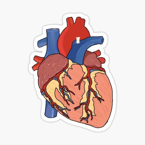 Science Lab Decorations, Doctor Stickers, Medical Stickers, Teacher Classroom Decorations, Pharmacy Student, Science Stickers, Cartoon Heart, Calligraphy Quotes Love, Medical School Motivation