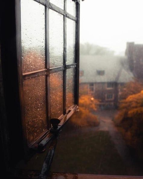 Fall Windows, An Open Window, November Wallpaper, Rainy Street, Rain Photo, 30 November, Autumn Rain, Dark Autumn, Brasov