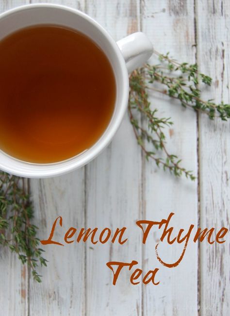 Lemon Thyme Tea - A great tea for coughs, colds, congestion. Safe for adults and kids! Tea For Cough, Thyme Tea, Tea For Colds, Diy Easy Recipes, Lemon Thyme, Herbal Teas Recipes, Healthy Teas, Herbal Tea Blends, Tea Benefits