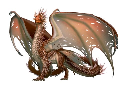 Ancient Copper Dragon - Pathfinder PFRPG DND D&D 3.5 5E 5th ed d20 fantasy Kobold Press, Dragon Poses, Types Of Dragons, Copper Dragon, Ancient Dragon, Cool Dragons, Cool Monsters, Dragon Illustration, Beautiful Dragon