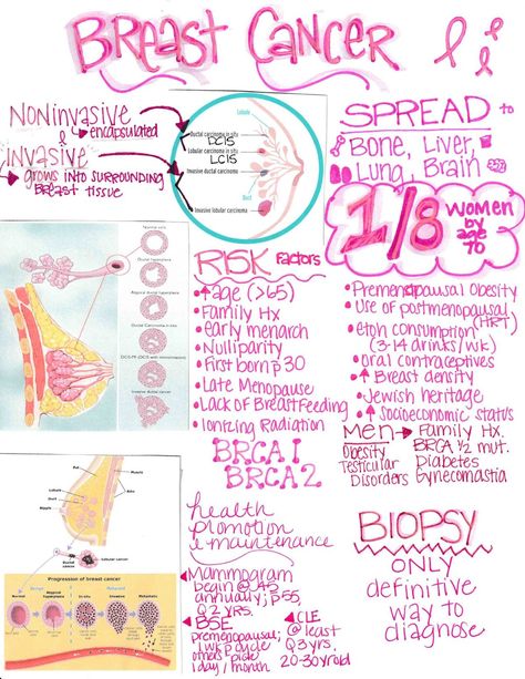 Oncology Emergencies Nursing, Oncology Nursing Notes, Chemo Nurse, Medical Assistant Student, Nursing School Essential, Oncology Nurse, Nursing Study Guide, Basic Anatomy And Physiology, Nurse Study Notes