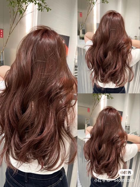 Cherry Brown Hair, Hair Color Mahogany, Mahogany Hair, Cinnamon Hair, Hair Color Asian, Korean Hair Color, Brown Hair Looks, Brown Hair Inspo, Brown Hair Dye