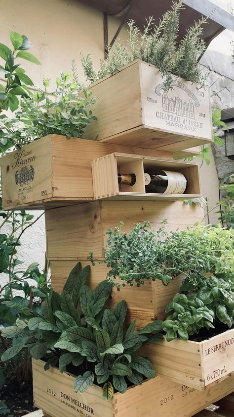 Wine Crate Planter, Wine Boxes Ideas Projects Wood, Chateau Backyard, Wine Crates Ideas Decor, Wine Boxes Ideas Projects, Wine Crate Crafts, Box Herb Garden, Wine Box Garden, Wine Crate Diy