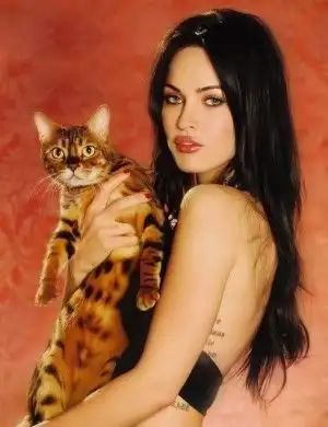 Celebrity Snapshots vol.1 - Cats and Celebs - HubPages Fox, Instagram, Megan Fox, A Cat, A Woman, On Instagram